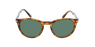 Lunettes de soleil homme 0PO3152S marron