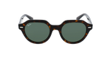 Lunettes de soleil GINA RB4399 écaille - Vue de face