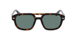 Lunettes de soleil homme SPLL19 écaille - Vue de face