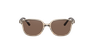 Lunettes de soleil 0RJ9093S marron/gris