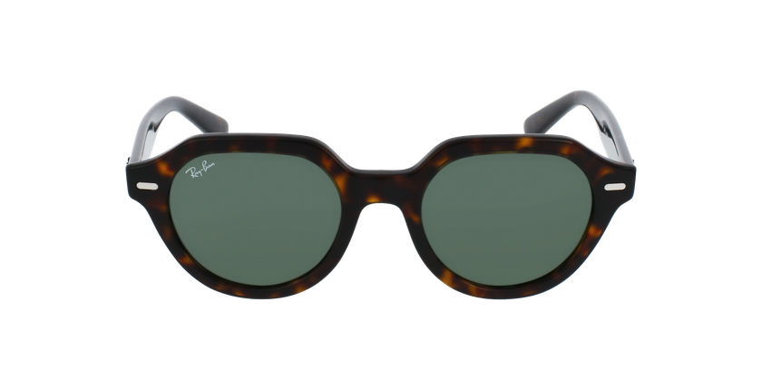 Lunettes de soleil GINA RB4399 écaille - Vue de face