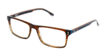 Lunettes de vue homme MAGIC206 marron - Vue de face